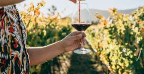 Foto: (Igor Alecsander/iStock)