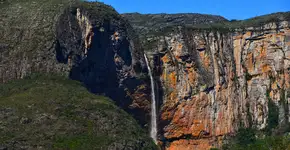 Foto: (Istock/Pedro Carrilho)