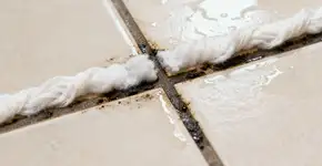 Foto: (Imagem sem texto alternativo disponivel ID [2671046])