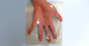 Pesquisadora da USP cria plástico 100% biodegradável com resíduos