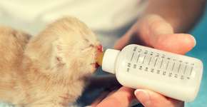 Foto: (vvvita/istock)