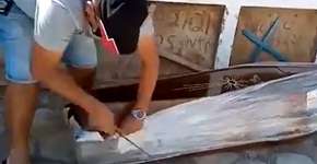 Foto: (Reprodução/TV Globo)