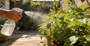 Foto: (Imagem sem texto alternativo disponivel ID [2677326])