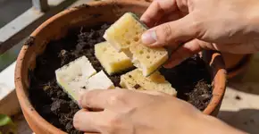 Foto: (Imagem sem texto alternativo disponivel ID [2679881])