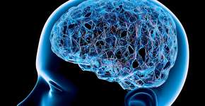 Estudo identifica novo sinal precoce de Alzheimer; saiba qual