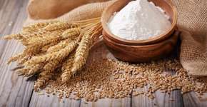 Trigo não é glúten: entenda a diferença e razões para consumi-lo
