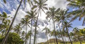 Foto: (Divulgação)