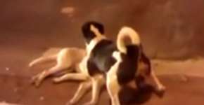 Foto: (Imagem sem texto alternativo disponivel ID [824041])