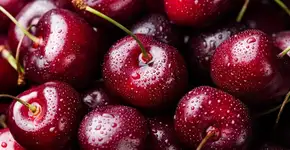 Foto: (Anna Pustynnikova/istock)