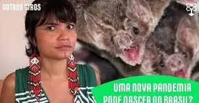 Uma nova pandemia pode nascer no Brasil?