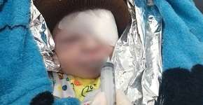 Morre recém-nascido achado abandonado coberto por formigas em SP