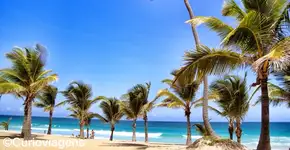 Foto: (Imagem sem texto alternativo disponivel ID [1394375])