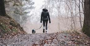 Quantos passos por dia são necessários para prevenir doenças?