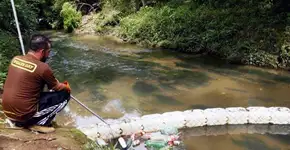 Foto: (Imagem sem texto alternativo disponivel ID [1839627])