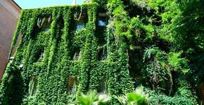 Movimento 90º visa disseminar jardins verticais por São Paulo