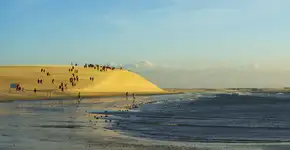 Foto: (Phaelnogueira/iStock)