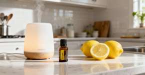 Esse cheiro simples muda a energia da sua casa inteira