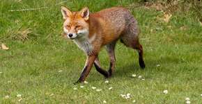 Foto: (Imagem sem texto alternativo disponivel ID [2694115])