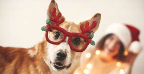 Foto: (Bogdan Kurylo/istock)