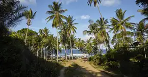 Foto: (Istock/Travel_Motion)