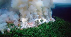 Amazônia pegando fogo: protestos vão acontecer em todo o Brasil