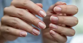 Foto: (Imagem sem texto alternativo disponivel ID [2686360])