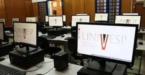 Foto: (Divulgação)