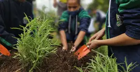 Ribeirão Pires promove programação especial no Junho Verde com ações de educação ambiental e bem-estar animal