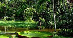 Foto: (Imagem sem texto alternativo disponivel ID [1473861])