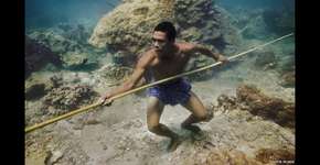 Foto: (Imagem sem texto alternativo disponivel ID [468848])