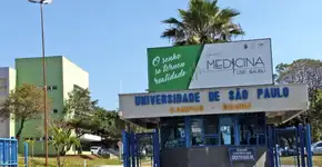 Foto: (Divulgação)