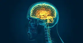 Foto: (magicmine/istock)