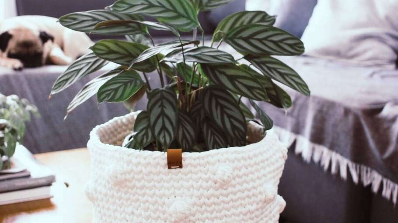 Muta une afeto e ancestralidade ao criar peças de crochê e tricô confortáveis e cheias de estilo