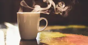 Foto: (Alina Rosanova/istock)