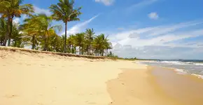 Foto: (Istock/Camila Se)