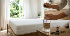 Foto: (Imagem sem texto alternativo disponivel ID [2752891])