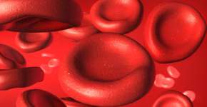 Foto: (Andreus/istock)