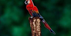 Foto: (Imagem sem texto alternativo disponivel ID [591711])