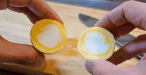 Foto: (Imagem sem texto alternativo disponivel ID [807095])