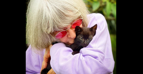 Rita Lee é diagnosticada com tumor no pulmão após exames em SP