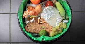 Foto: (Imagem sem texto alternativo disponivel ID [1834671])