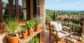 5 tipos de plantas que repelem moscas e mosquitos. Plante-as na sua varanda