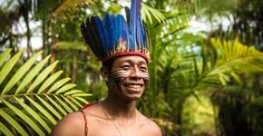 USP tem cursos online gratuitos para aprender línguas indígenas