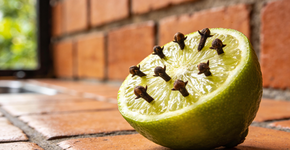 Foto: (Imagem sem texto alternativo disponivel ID [2727376])