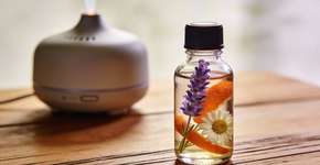 Foto: (Imagem sem texto alternativo disponivel ID [2676323])