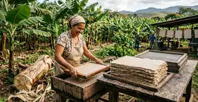 As milhares de toneladas de pseudocaules de banana deixadas apodrecendo após cada colheita agora estão sendo transformadas em papel de seda e materiais de embalagem, enquanto um processo simples usando hidróxido de sódio a 230°F está alcançando rendimentos de polpa de até 44% nos testes de abril de 2026