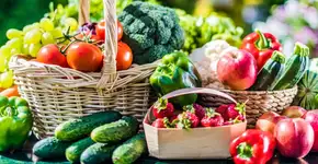 Foto: (Imagem sem texto alternativo disponivel ID [2680555])