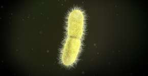 Foto: (galactarte/DepositPhotos)