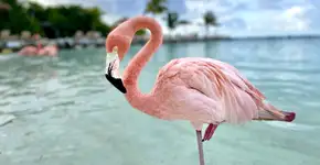 Foto: (ajansen/istock)