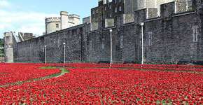 Foto: (Imagem sem texto alternativo disponivel ID [1828416])